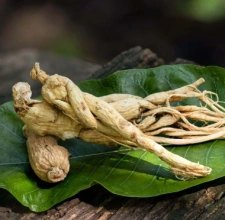 Maca root and powder